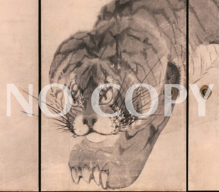 重要文化財　虎図　長沢蘆雪筆（無量寺蔵）