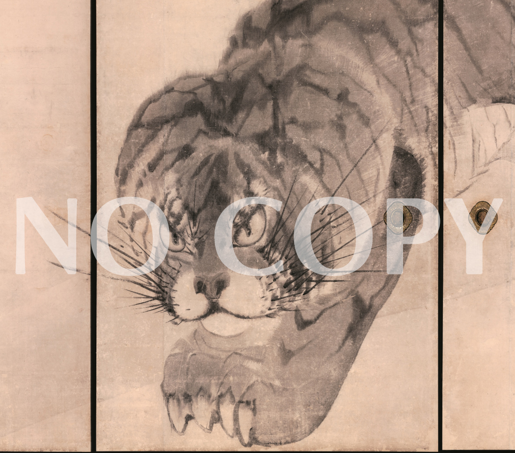 重要文化財　虎図　長沢蘆雪筆（無量寺蔵）